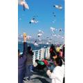 旅行风景5708