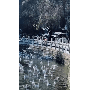 旅行风景5709