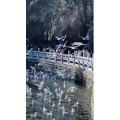 旅行风景5709