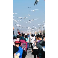 旅行风景5710