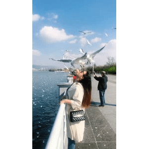 旅行风景5713