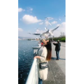 旅行风景5713