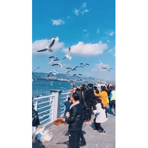 旅行风景5714