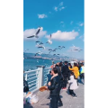 旅行风景5714