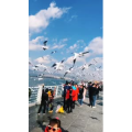 旅行风景5715