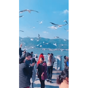 旅行风景5716
