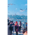 旅行风景5716