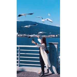 旅行风景5717
