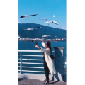 旅行风景5717
