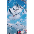 旅行风景5718