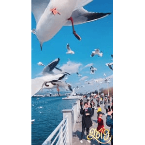 旅行风景5720