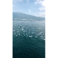 旅行风景5727