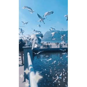 旅行风景5733
