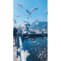 旅行风景5733