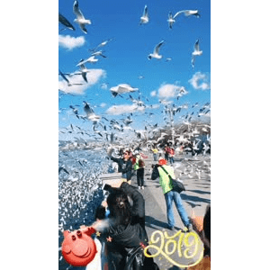 旅行风景5734