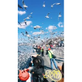 旅行风景5734