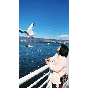 旅行风景5738