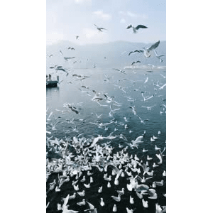 旅行风景5740