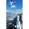 旅行风景5741