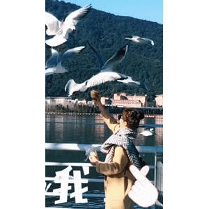 旅行风景5742