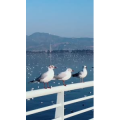 旅行风景5746