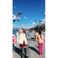 旅行风景5747