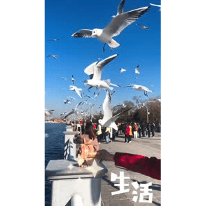 旅行风景5748