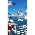 旅行风景5749