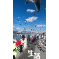 旅行风景5750