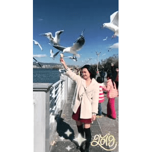 旅行风景5751