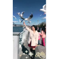 旅行风景5751