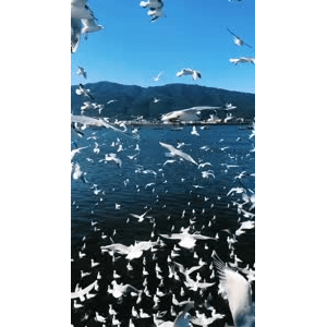 旅行风景5754