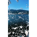 旅行风景5754