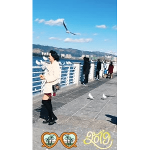 旅行风景5755