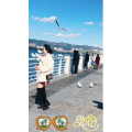 旅行风景5755