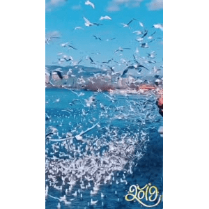 旅行风景5758