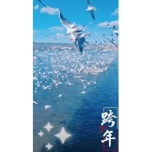 旅行风景5759