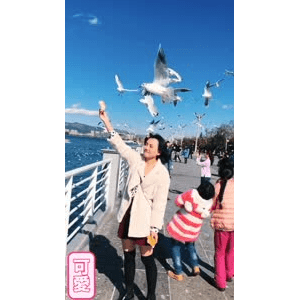 旅行风景5762