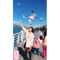 旅行风景5762