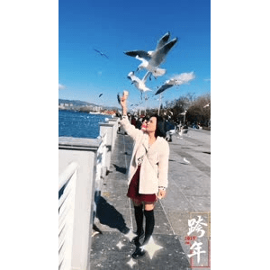 旅行风景5763