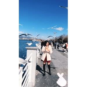 旅行风景5764
