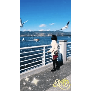 旅行风景5765