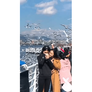 旅行风景5767