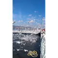 旅行风景5770