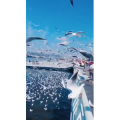 旅行风景5772