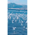 旅行风景5774