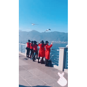 旅行风景5776