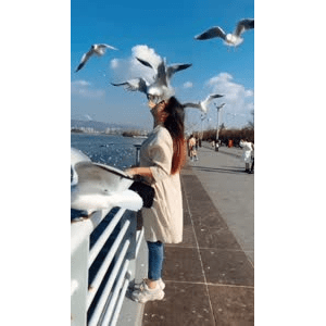 旅行风景5779