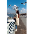 旅行风景5779