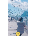 旅行风景5780